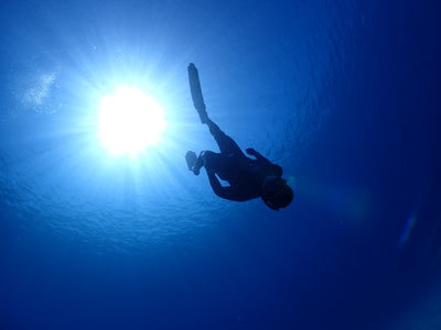 フリーダイビングの撮影 奄美大島ダイビングショップ エンドレスブルー のブログ