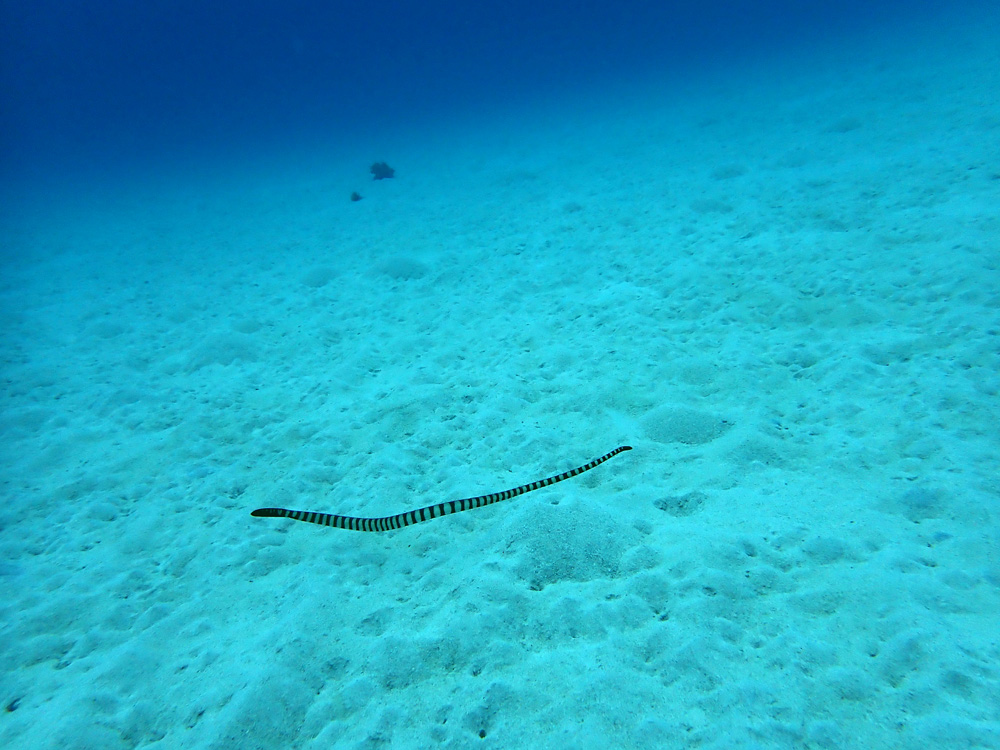 2025年もありがとうございました！