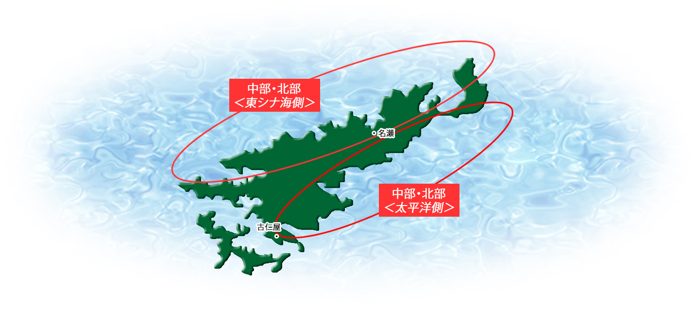 奄美大島のマップ