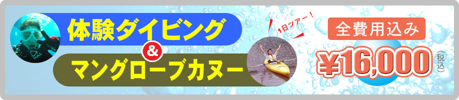 体験ダイビング＆マングローブカヌー料金14500円税別