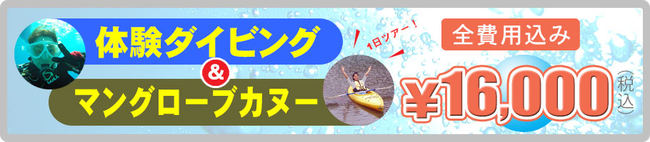 体験ダイビング＆マングローブカヌー料金14500円税別
